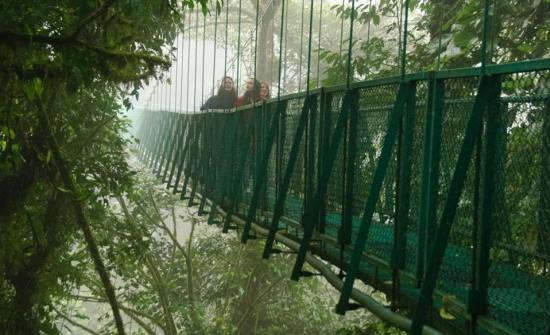 Tourists standing on a misty suspension bridge in rainforest.