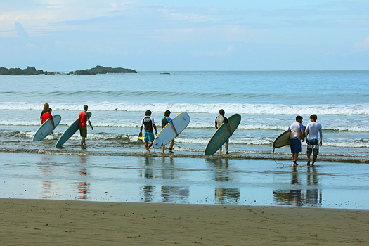 group of surfers carrying boards walking toward ocean waves