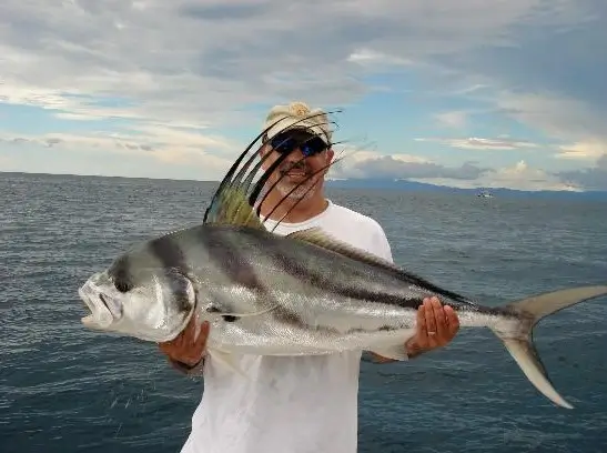 man proudly holding large roosterfish near ocean with mountains behind