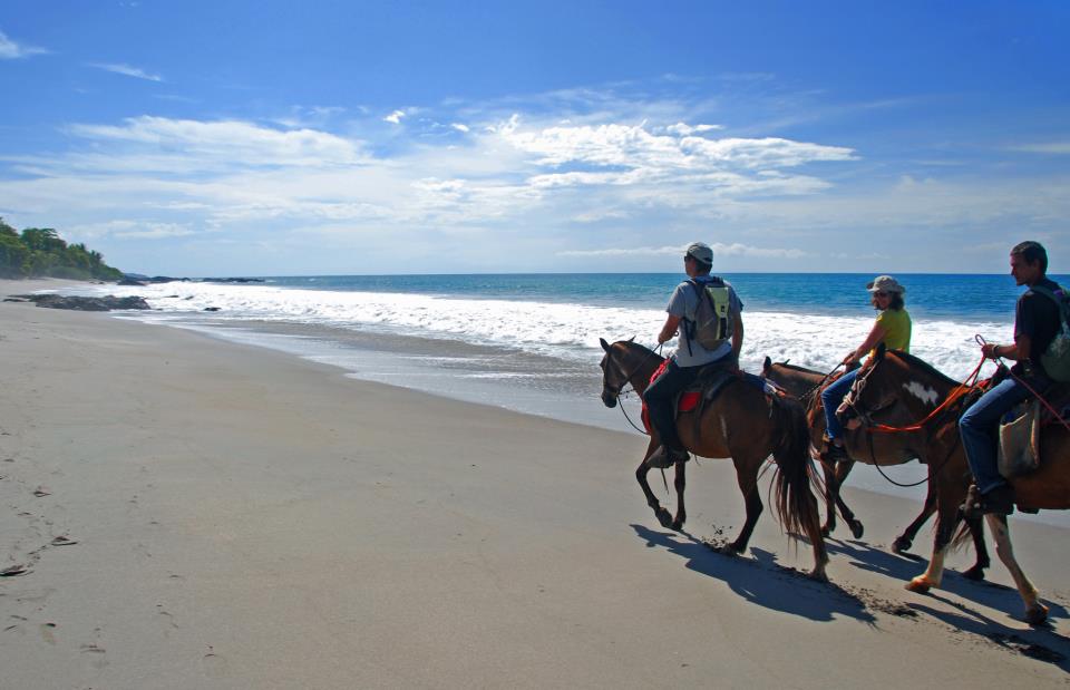 people horseback riding along sandy beach beside blue ocean